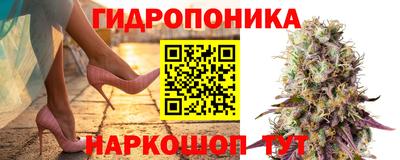 прущие грибы Лесосибирск