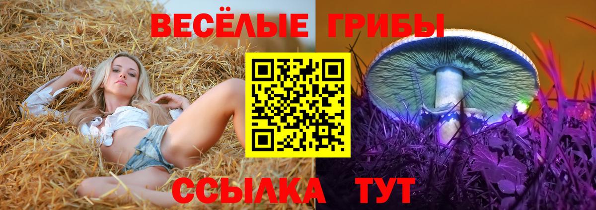 Добрянка  Псилоцибиновые грибы MAGIC MUSHROOMS  Галлюциногенные грибы Cubensis  Вход с VPN 